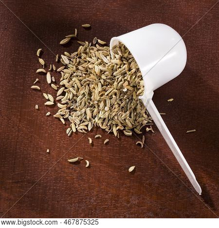 Foeniculum Vulgare - Dried Organic Fennel Seeds In The Spoon