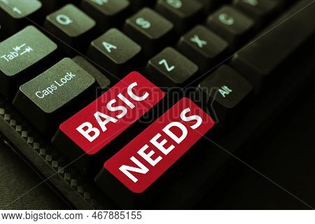 Sign Displaying Basic Needs. Internet Concept Something That You Must Have In Order To Sustain Or Li