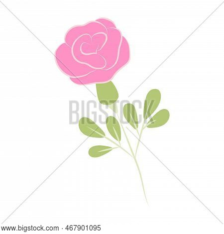 Hand-drawn Pink Rose
