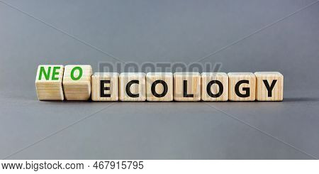 Neo-ecology Or Ecology Symbol. Concept Words Neo-ecology Or Ecology On Wooden Cubes. Beautiful Grey 