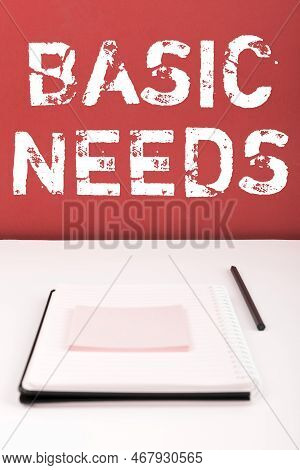 Text Caption Presenting Basic Needs. Concept Meaning Something That You Must Have In Order To Sustai