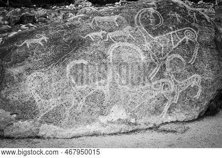 Petroglyphs On The Rocks In Kazakhstan. The Ancient Parking Cave Man. Historical Cave Paintings. Car