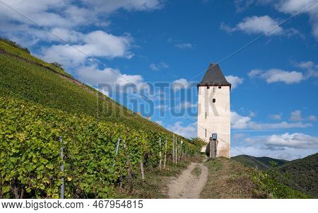 Bacharach, Germany - October 5, 2021: Panoramic Image Of Old Tower In The Vineyard Close To The Rhin