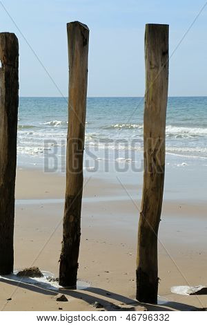 In legno Wave Breaker - 03