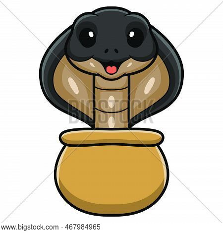 Vector Illustration Of Cute Javan Spitting Cobra Cartoon Out From Bag