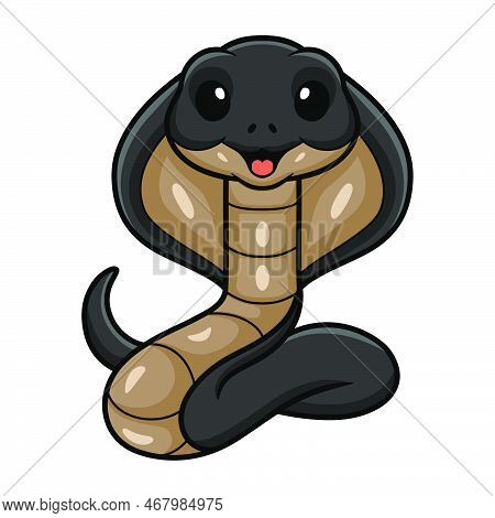 Vector Illustration Of Cute Javan Spitting Cobra Cartoon