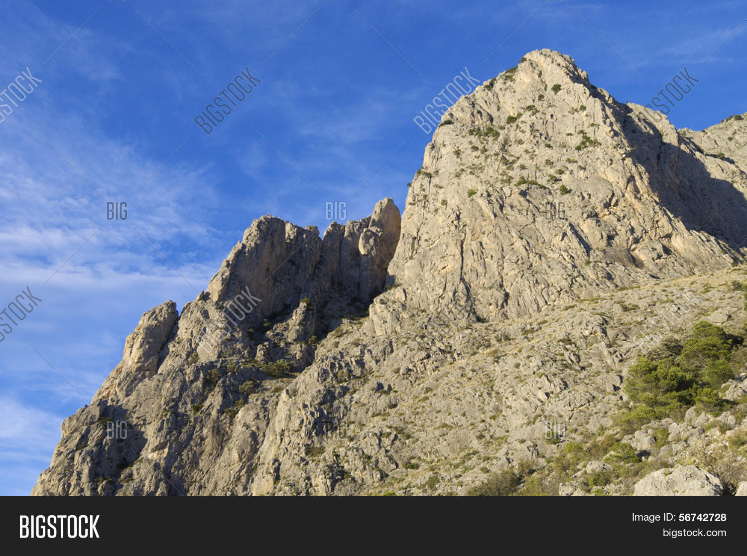 puig campana valencia