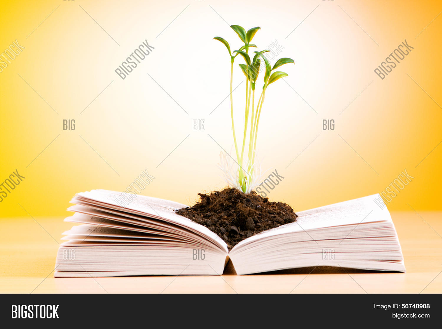 джон брейн путь наверх жизнь наверху. брейн путь наверх. росток книга 2 путь наверх. росток книга 2 путь наверх. книга росток.