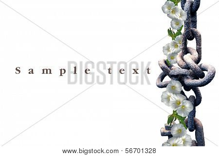 alte Kette auf weißem Hintergrund und Convolvulus (isoliert).