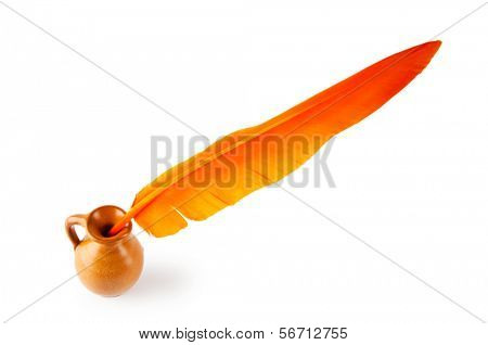 白い背景で隔離の羽を書く