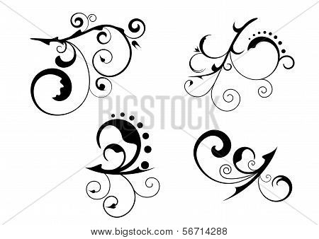 Floral Abstract Patterns