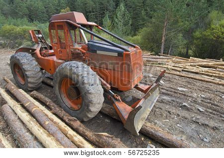 buldozer และ cutted กางเกงใน