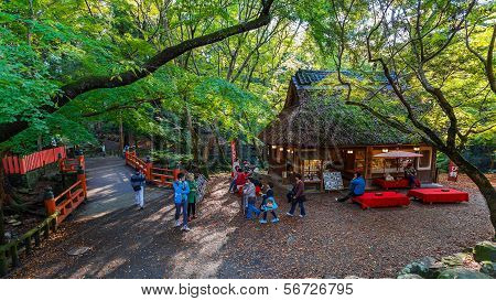 Koyo corner in Nara Park