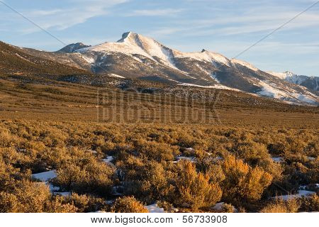 High Mountain Peak Great Basin Region Nevada Landscape