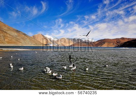 Mountain Lake