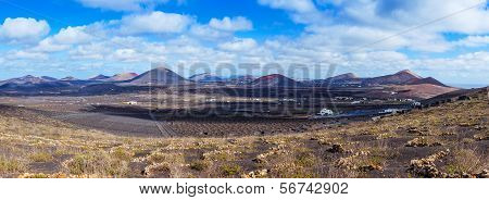 Viticulture winery Lanzarote.