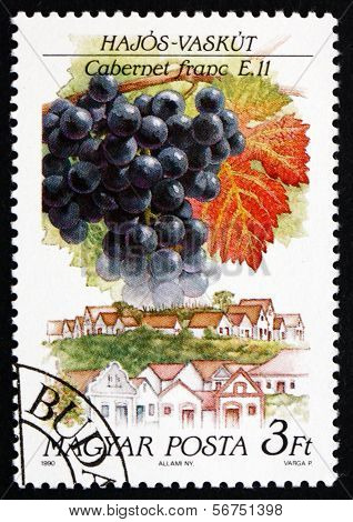 Postage Stamp Hungary 1990 Cabernet Franc, Hajos-vaskut