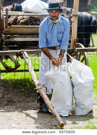 Gaucho Festival