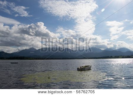 Loneliness in the lake