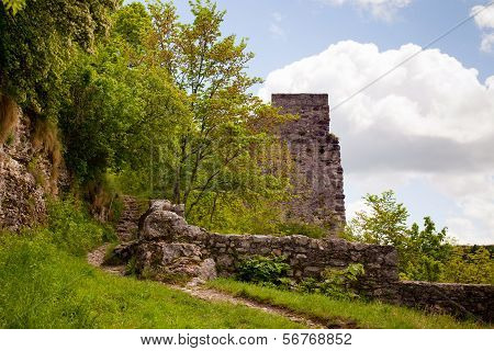 Castle Hohenwittlingen