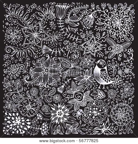 Drawn with chalk on blackboard flowers and bird.