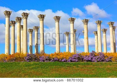 National Capitol Columns at sunset.