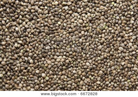 Baharat