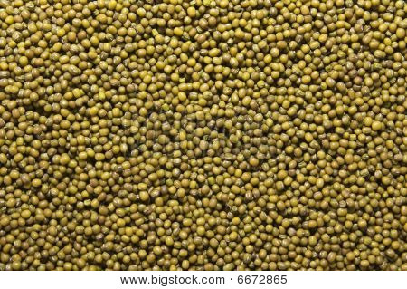 Baharat