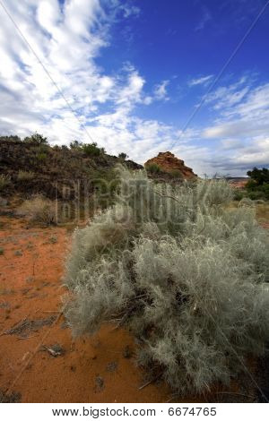 Redrocsk In Snow Canyon - Utah, sabbia e cespugli