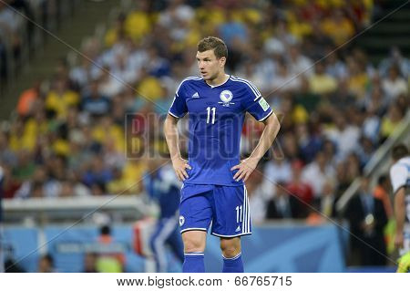 World Cup 2014