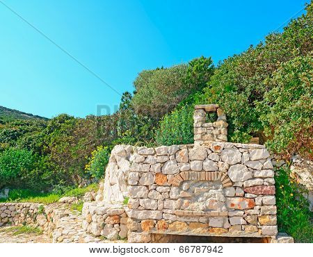 Wall And Plants
