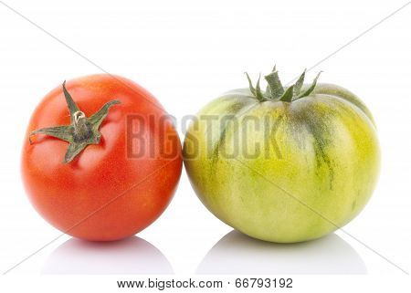 Red and green tomatoes on a white background.