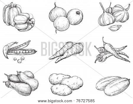 Vegetables