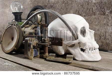 Mechanical skull.