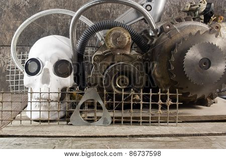 Mechanical skull front view.