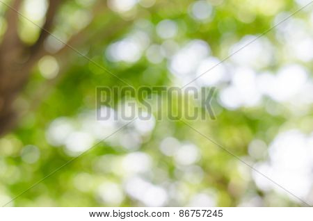 Bokeh(out Of Focus)_05