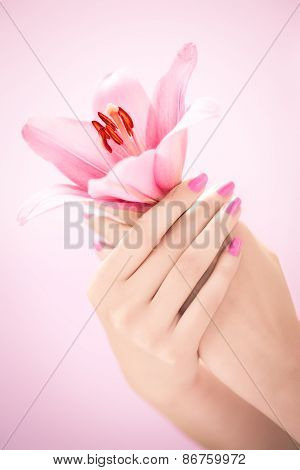 Hands With Lily