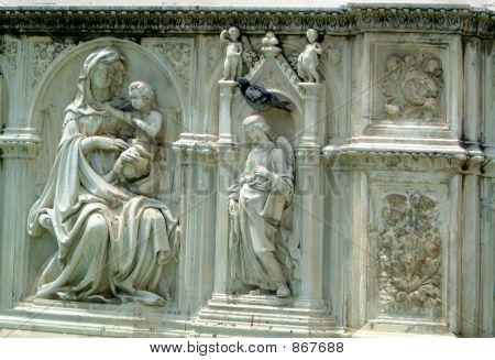 Taube auf Statue in Sienna