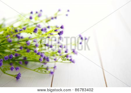 Spring Blossom Over Wood Background.