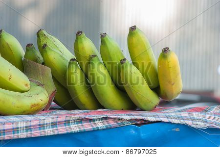 Banana On Scottish Chintz
