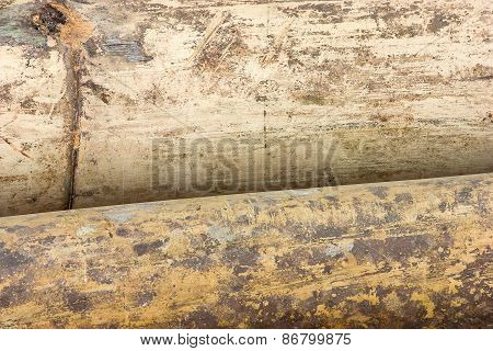Macro Dry Bamboo
