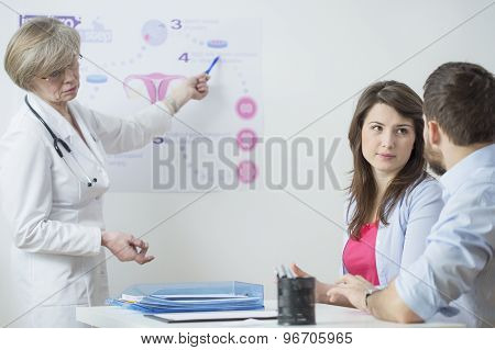 Gynecologist Using In Vitro Scheme