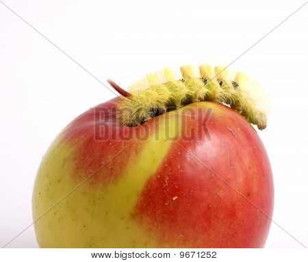 Housenka a Apple