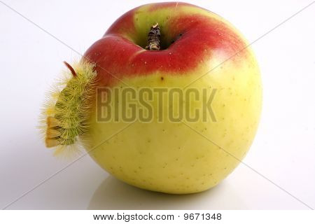 Housenka a Apple