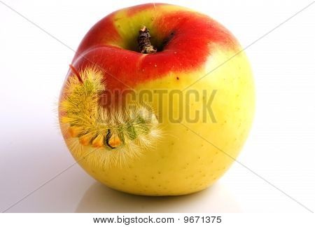 Housenka a Apple