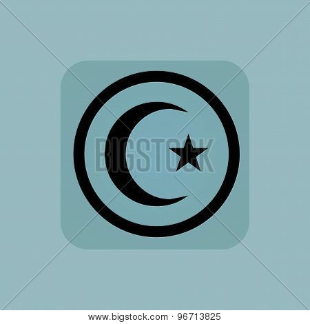 Pale blue Turkey symbol sign