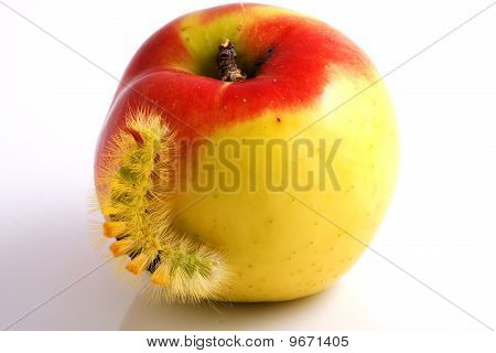 Housenka a Apple