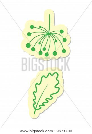 Floral pictogrammen