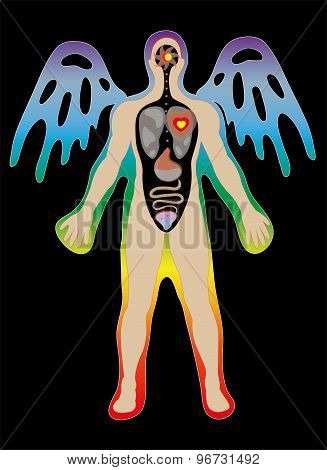 Abstraktsionny human anatomy.