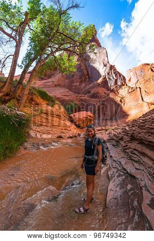 Girl Hiker Backpacker In Coyote Gulch Escalante